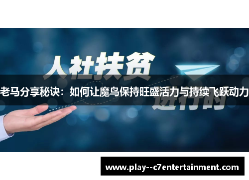 老马分享秘诀：如何让魔鸟保持旺盛活力与持续飞跃动力