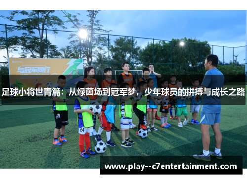 足球小将世青篇:从绿茵场到冠军梦,少年球员的拼搏与成长之路 足球小将世青篇:从绿茵场到冠军梦,少年球员的拼搏与成长之路