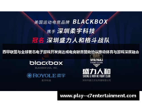 西甲联盟与全球著名电子游戏开发商达成电竞联赛赞助协议推动体育与游戏深度融合